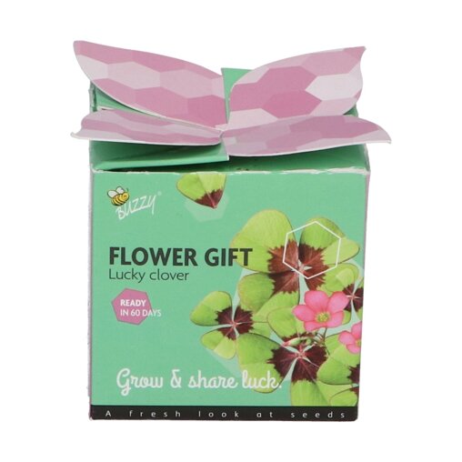 Buzzy ® Grow Gift Klavertje 4 in potje